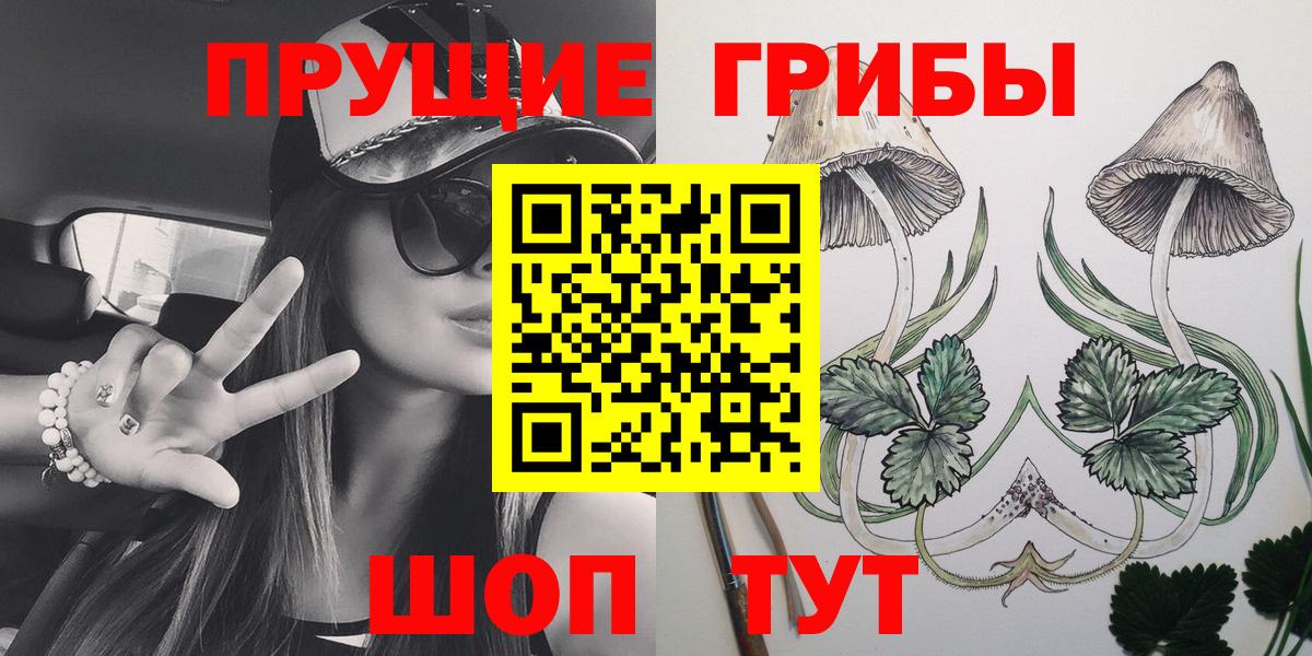 Псилоцибиновые грибы ЛСД  Псилоцибиновые грибы Psilocybine cubensis  сколько стоит  Киселёвск  Вход с VPN 