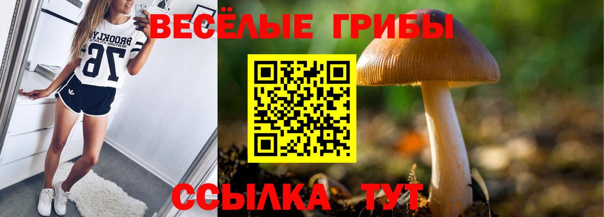 Псилоцибиновые грибы GOLDEN TEACHER Киселёвск