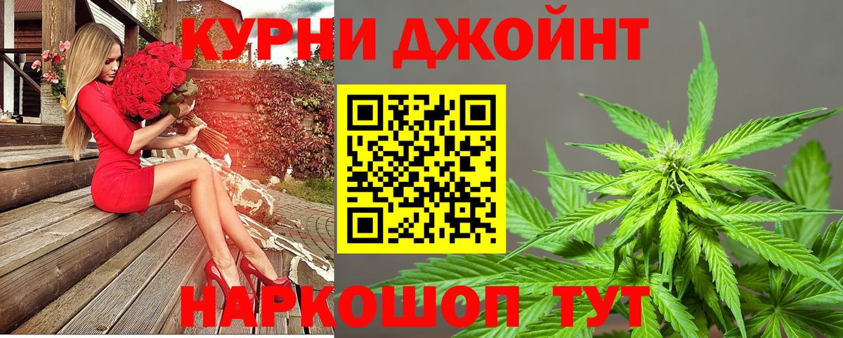 Бошки Шишки планчик Киселёвск